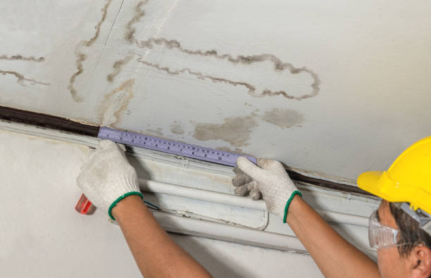 Reliable Water Damage contractor in Bonham, TX by Water Damage Irwin